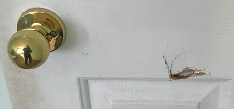 interior door hole repair Shasta Lake